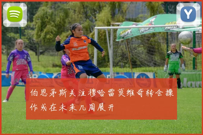 伯恩茅斯关注穆哈雷莫维奇转会操作或在未来几周展开